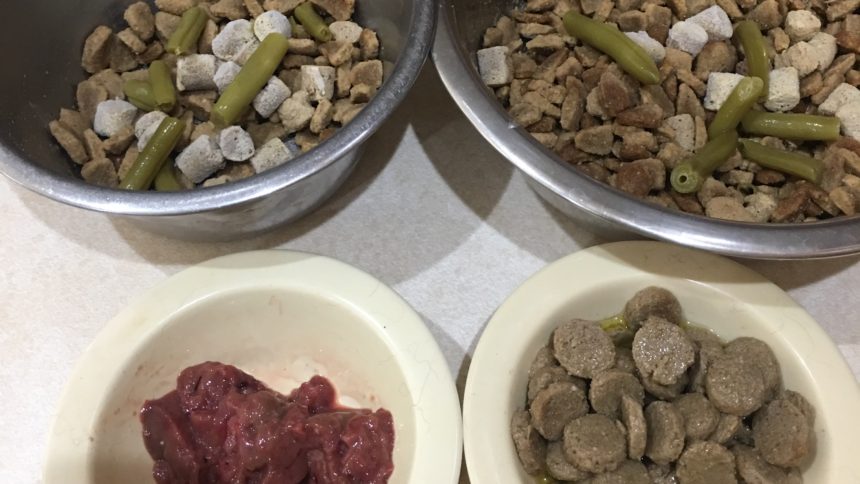 Pictured are two dishes of food w the same quantity of kibble. One is pre soaked to full expansion, Ahd is twice the quantity as when left dry.