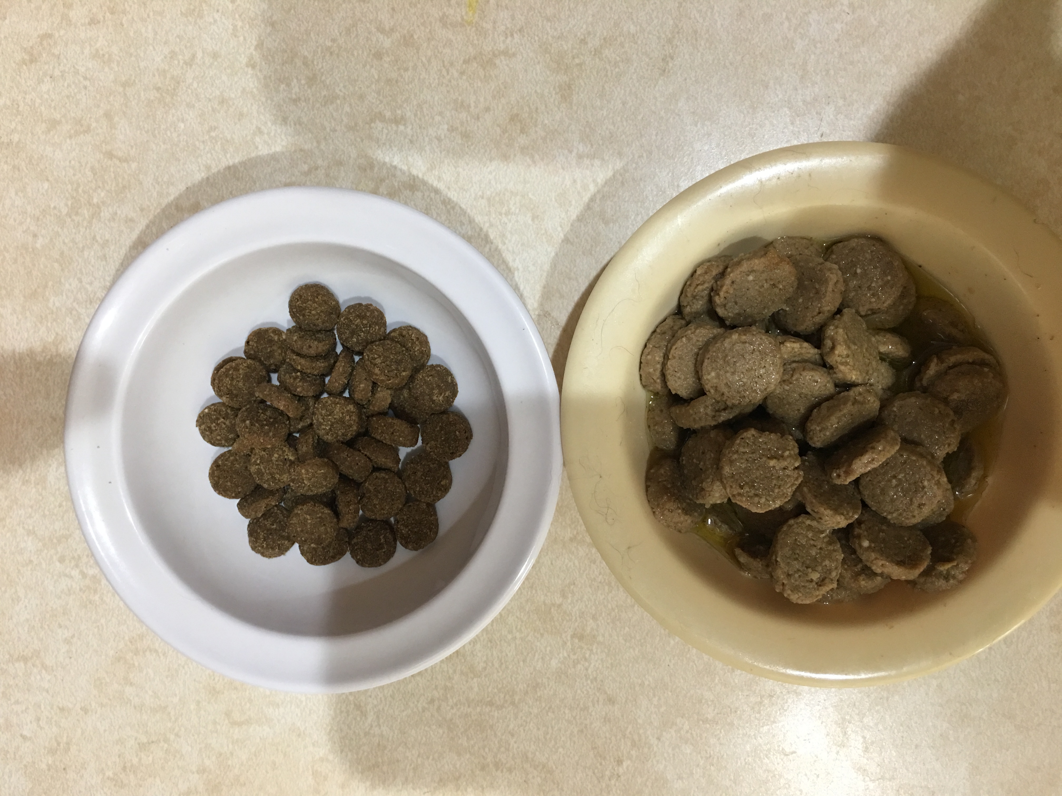 Pictured are two dishes of the same quantity of kibble. One is dry, and the other is pre-soaked in water. The pre-soaked dish, contains twice the quantity as the dry dish 