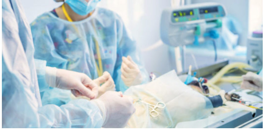 Pictured is a veterinary surgical team performing a neutering surgery.