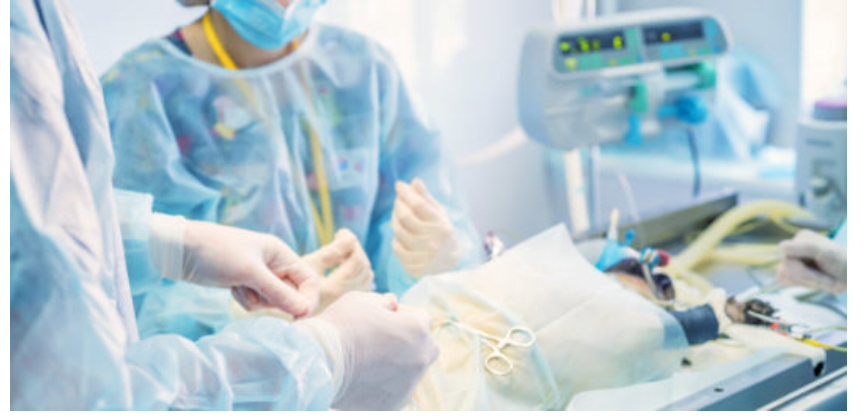 Pictured is a veterinary surgical team performing a neutering surgery.