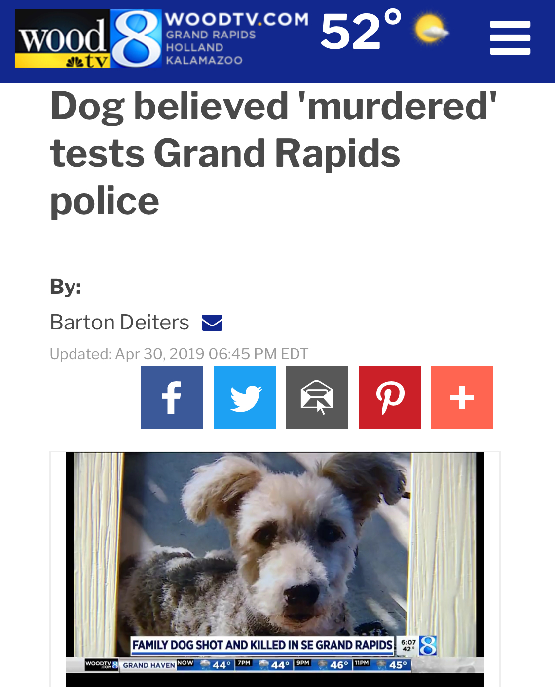 Photo used from Woodtv.com internet posting. Depicts the dog and title of article regarding the murder of a terrier/poodle in Michigan