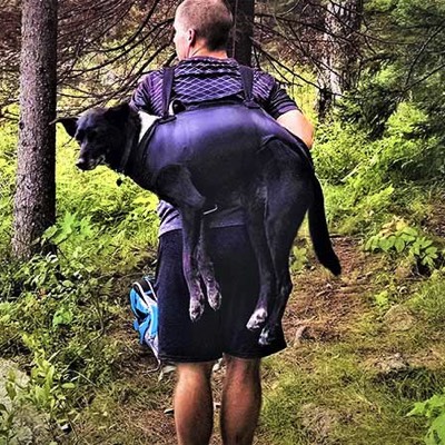 Man uses mountain dog ware harness with her dog carried in it on his back 