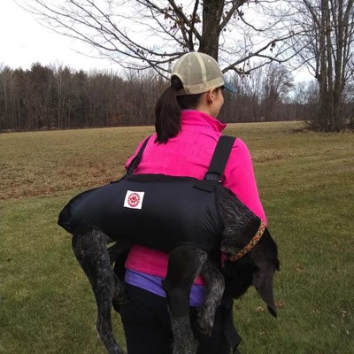 Woman uses mountain dog ware harness with her dog carried in it on her back 